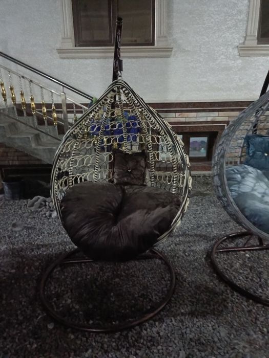 Ratan kachela olami eng arzonarxlar