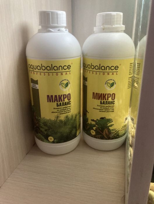 аквариум с рыбками