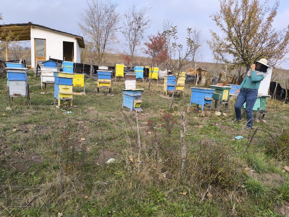 Продавам пчелен мед букет