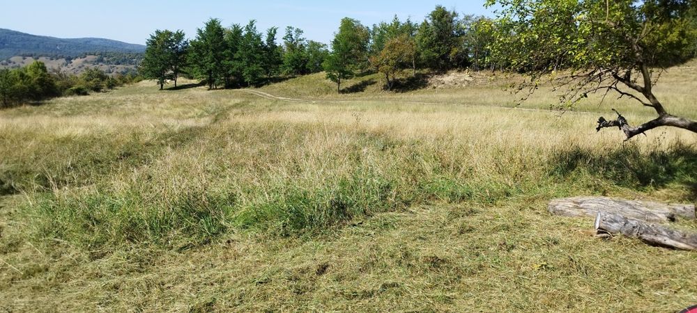 18000 mp teren extravilan in judetul Sibiu 4 euro mp
