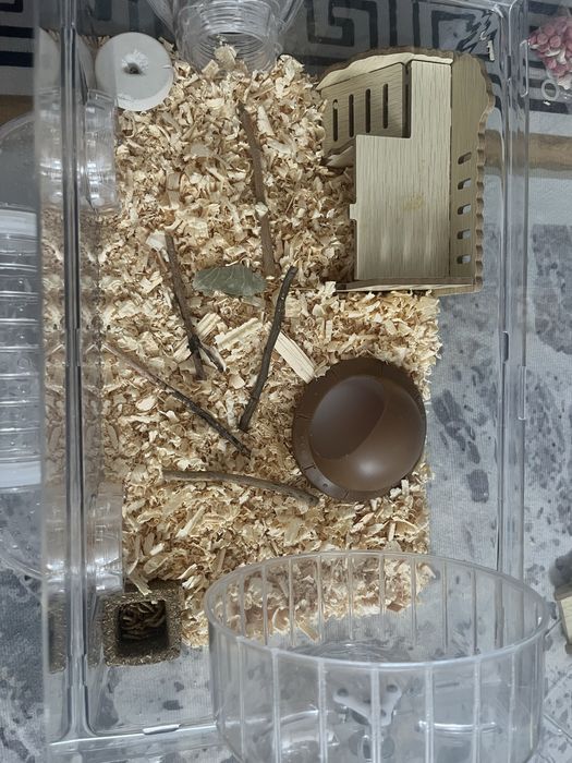 Продам хомяка вместе с клеткой