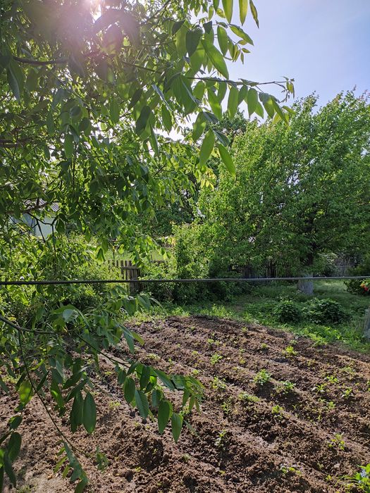 Уй участкаси билан сотилади.