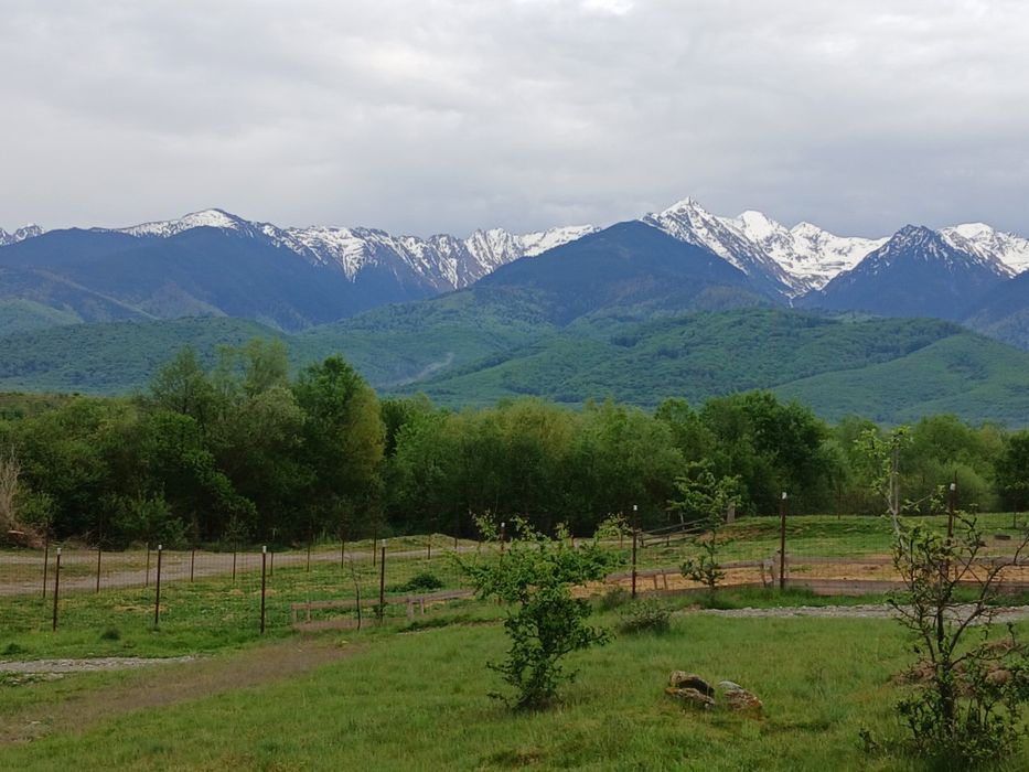Teren de vânzare  in zona Transfăgărășan