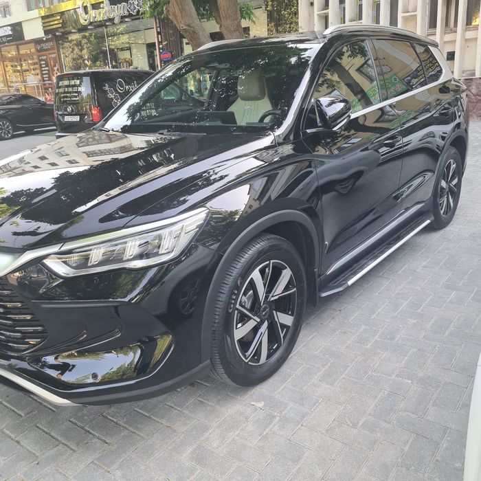 Byd song pro 2024