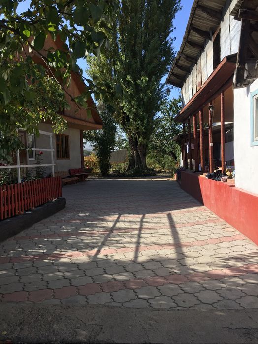 Продам дом с большим участком