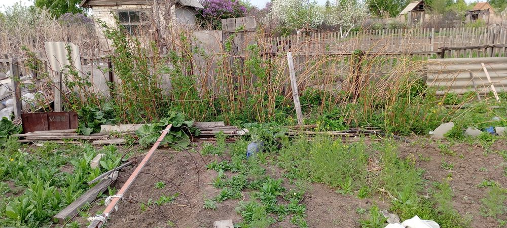 Продам дачу сад Яблонька