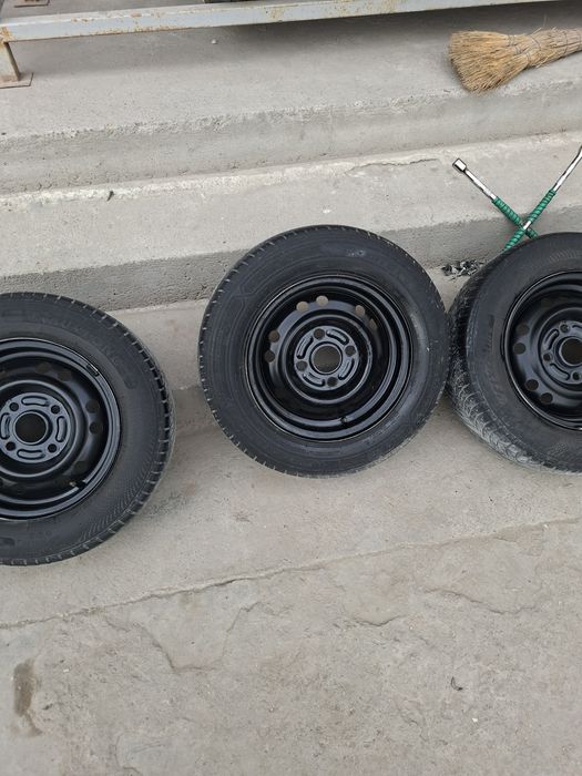 Diska balon 13 damas laboga