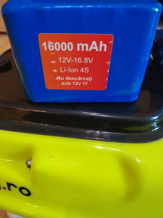 Vind Bărcuță plantat