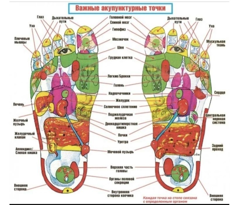 Массажный тапочка Р 38 39