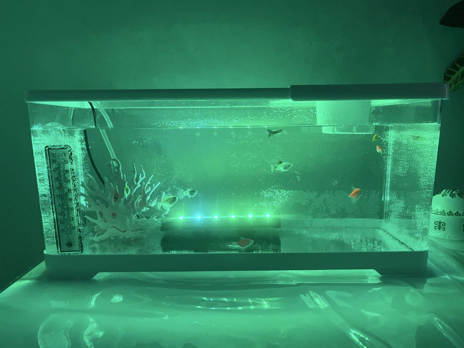 Продам аквариум с рыбками