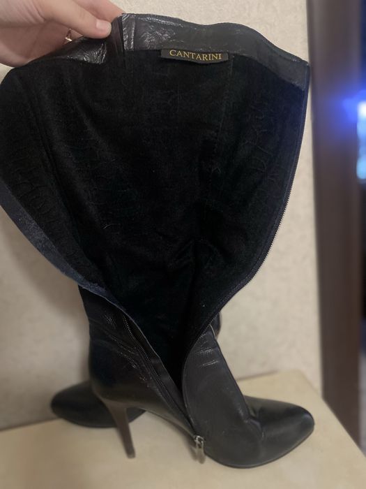 Сапоги демисезонные