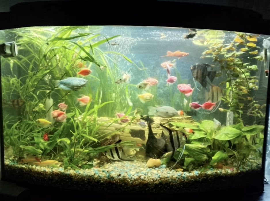 Продам аквариум