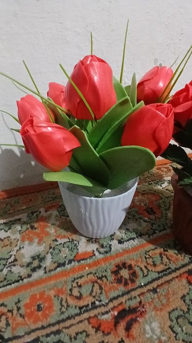 Izalon Gullar zakazga