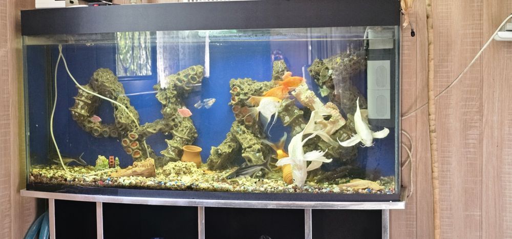 Akvarium 200-250litr