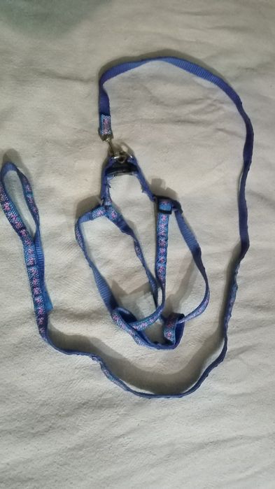 Поводки для собак