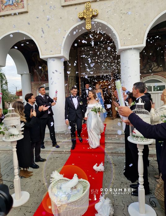 Porumbei albi nunta