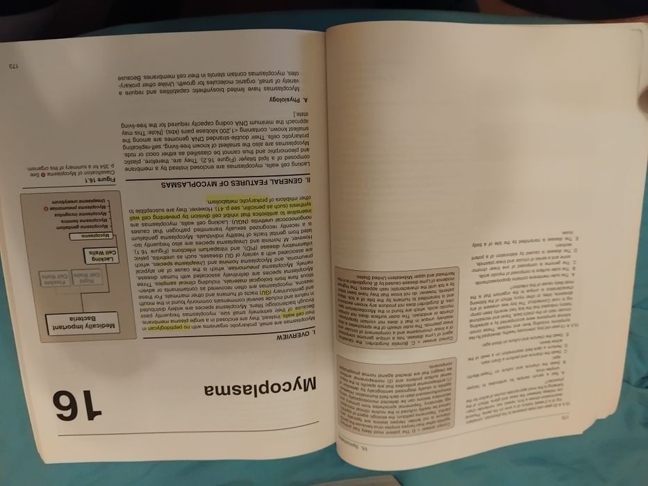 Microbiology Микробиология  Lippincott учебник