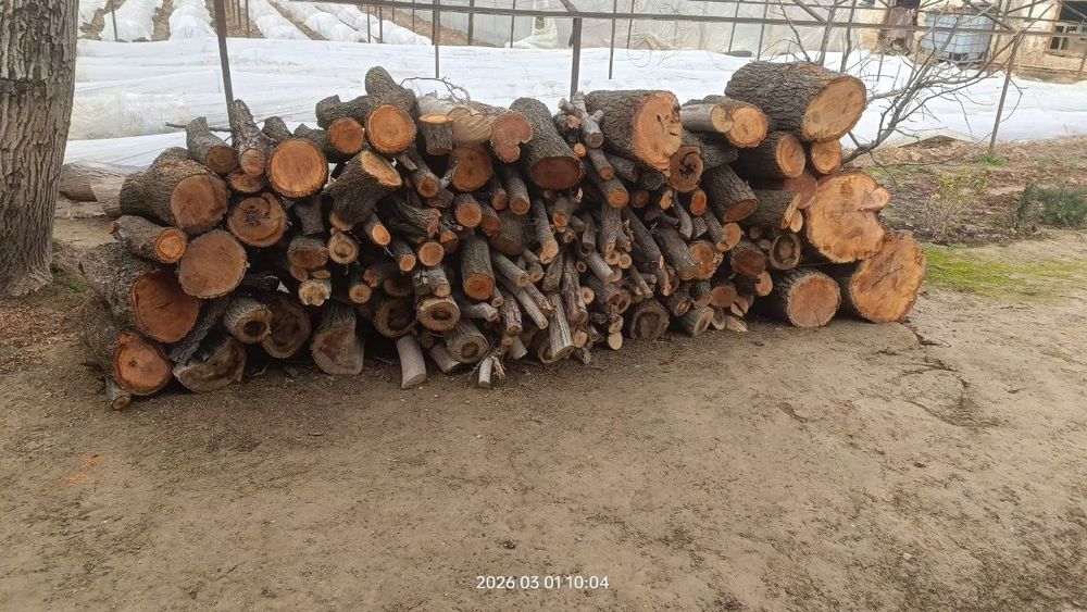 O'tin sotiladi narxi kelishiladi