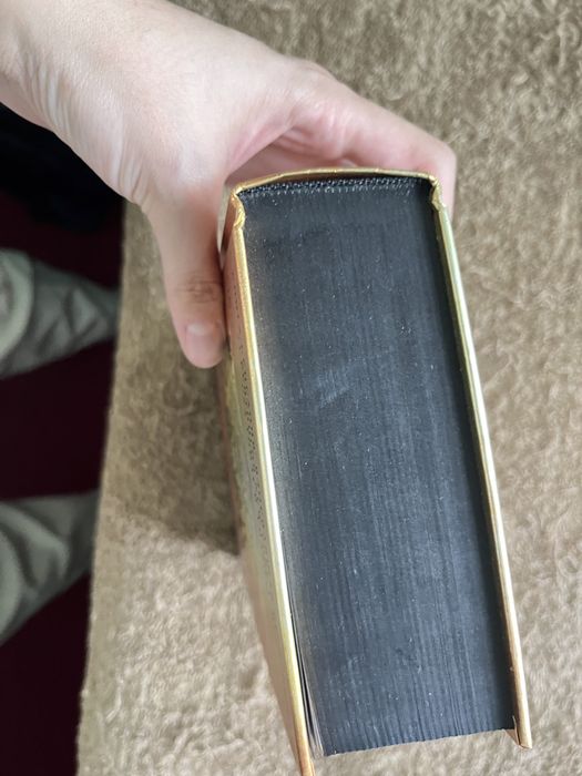 Книга «Железное Пламя»