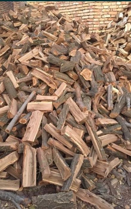 Дрова сухий тополь карагач