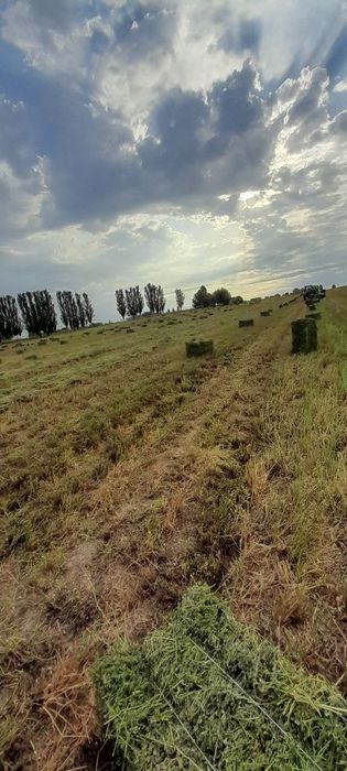 Беда прес 2 чи урим 28500, люцерна, пресс беда