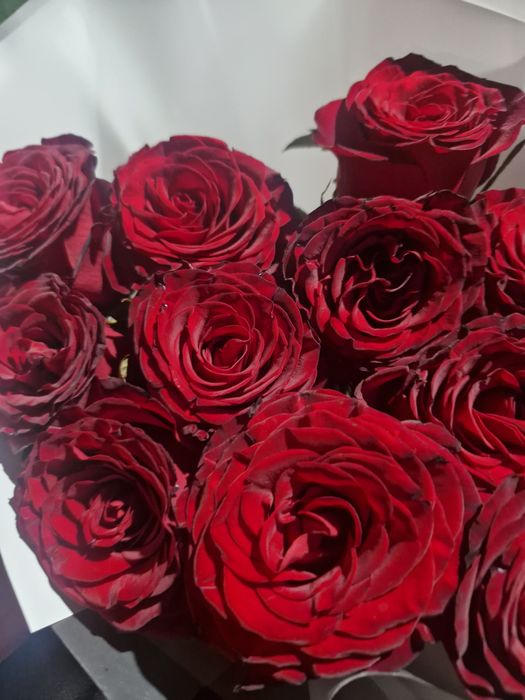 Розы 12 штук красные