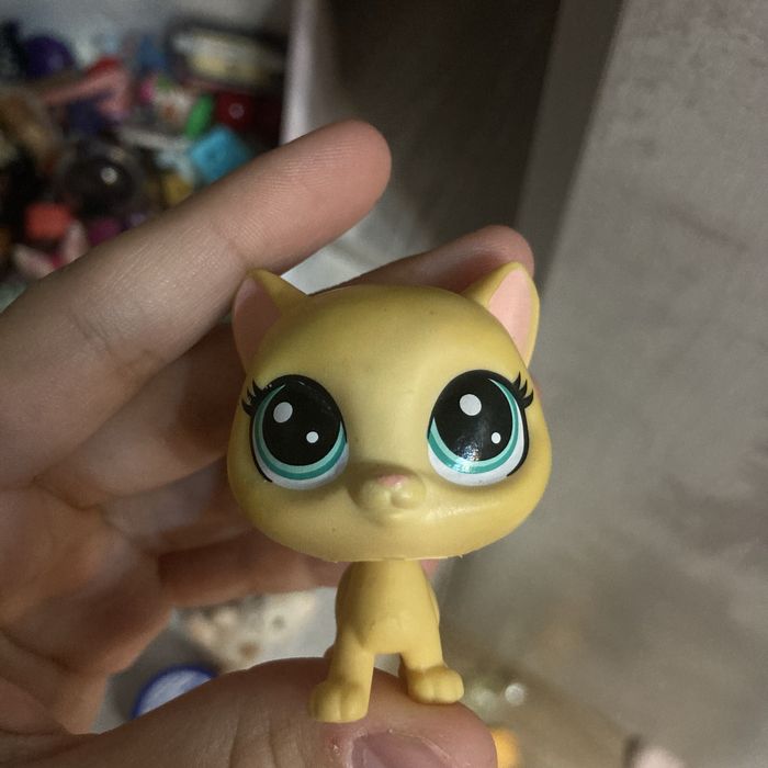 little pet shop.