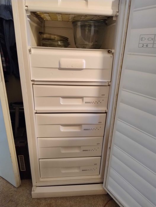 Snaige фризер използван