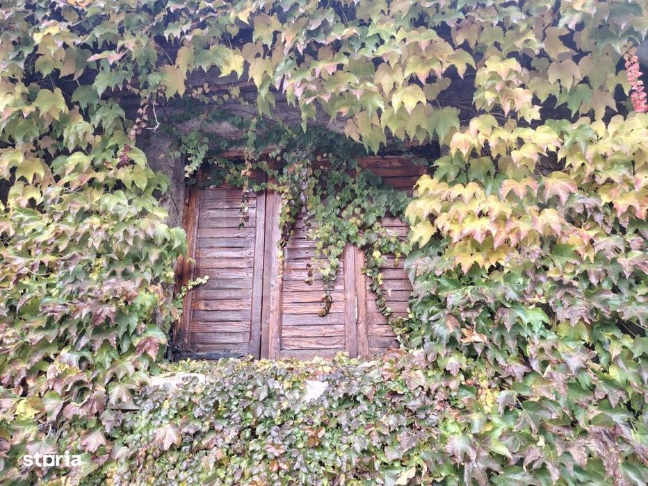 Proprietate in zona Parcului N Romanescu, casa batraneasca si teren de