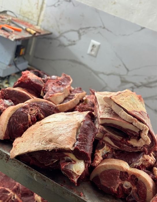 Мясо конина, жылкы ети, жылқы еті сатылады