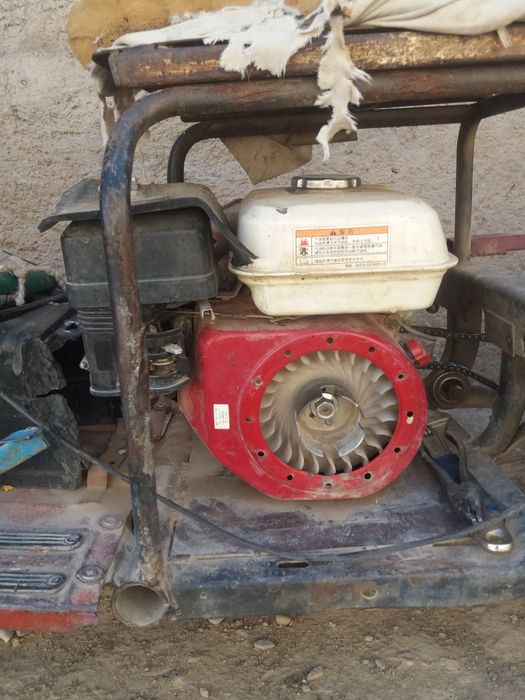 Муравей сетылады