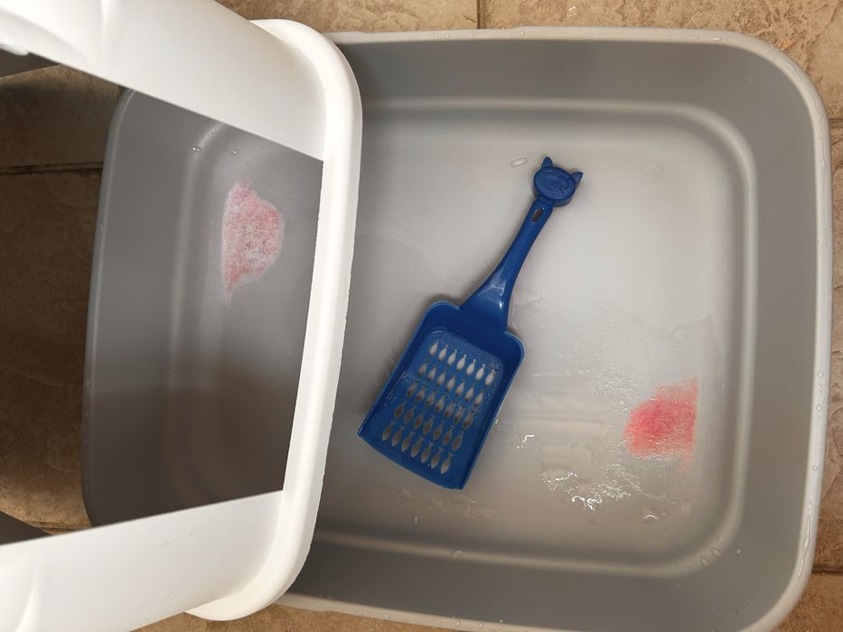 Letiera pisici plus lopetica si tofu lavanda