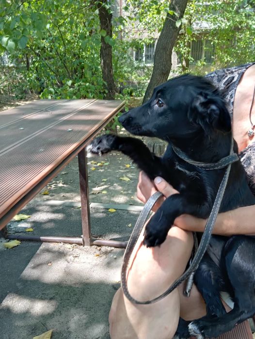 Звоночек Стерильная девочка