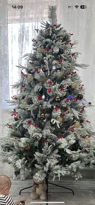 Аренда Елки разные