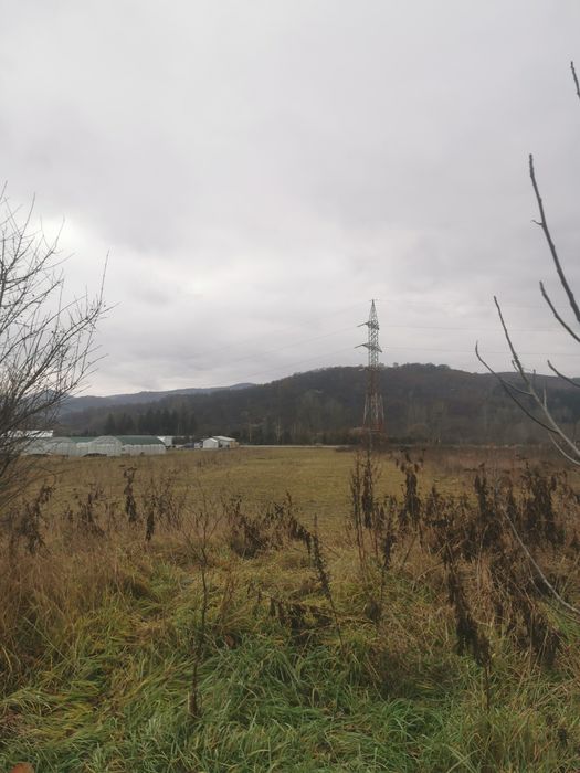 Vând teren intravilan Bunești - Vâlcea