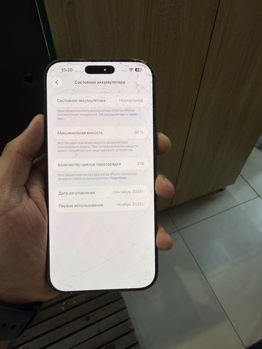 17 max 256 blue dual sim