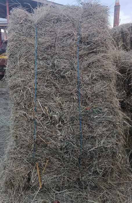 Baloți de paie si de fân