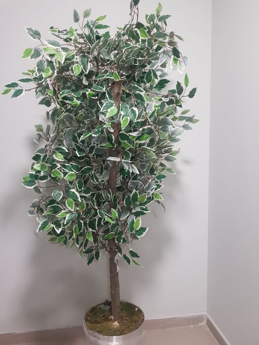 Изкуствени дръвчета за декорация