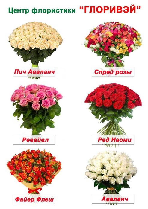 Розы и спрей розы от 400 тг