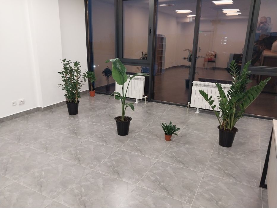 Мебель и цветы для офиса