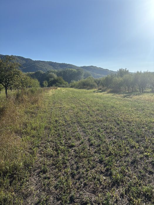 Teren intravilan în orasul Pătârlagele