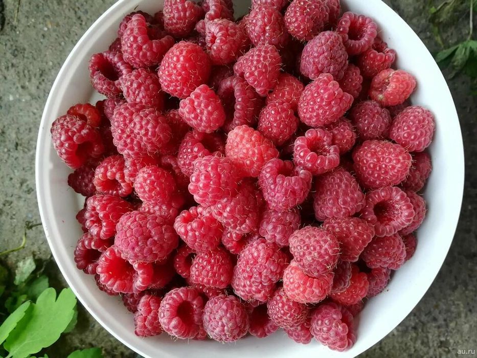 Продам малину с доставкой