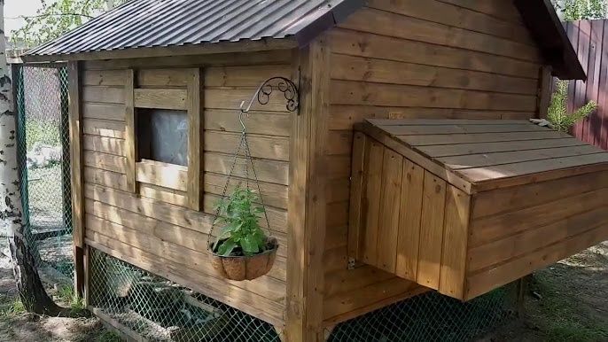 Курятник. Домик для кур
