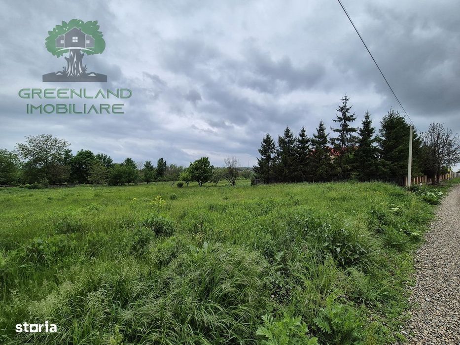 Teren Intravilan 1050mp, Ciurea, langa Primarie