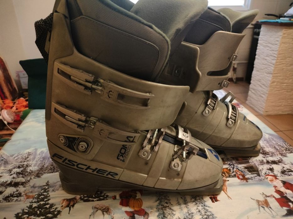 Горнолыжные ботинки