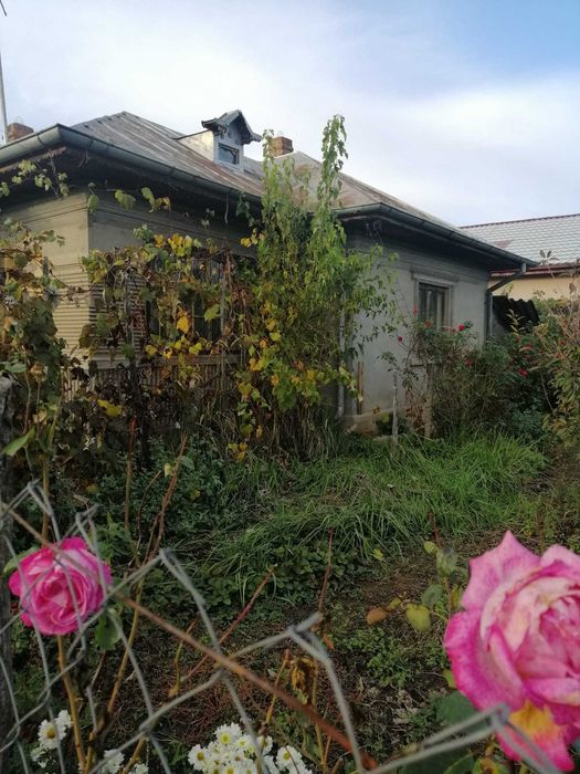 Terenuri intravilan de vanzare in Sinesti, Ialomita