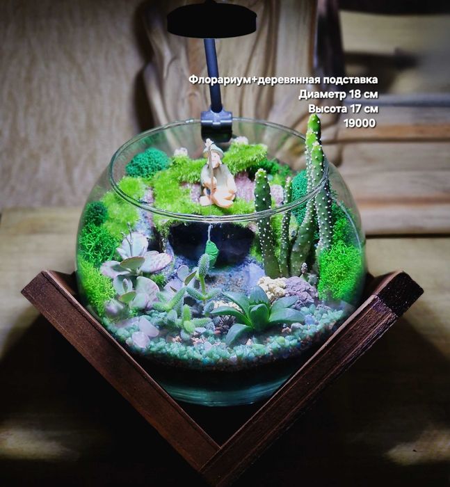 Флорариум, суккуленты