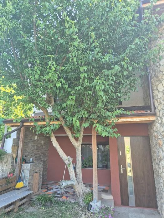 Продава се Къща в Варна, Виница - 286 кв.м за 1189 €/кв.м - Снимка #7