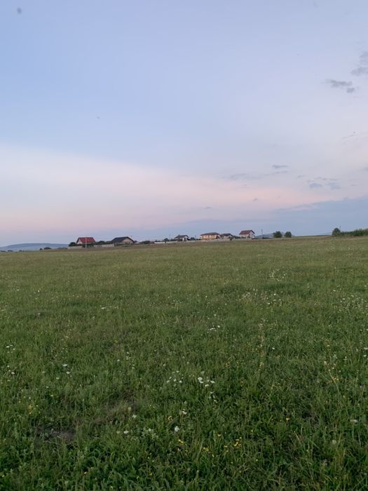 Teren intravilan intre Bod si Sanpetru