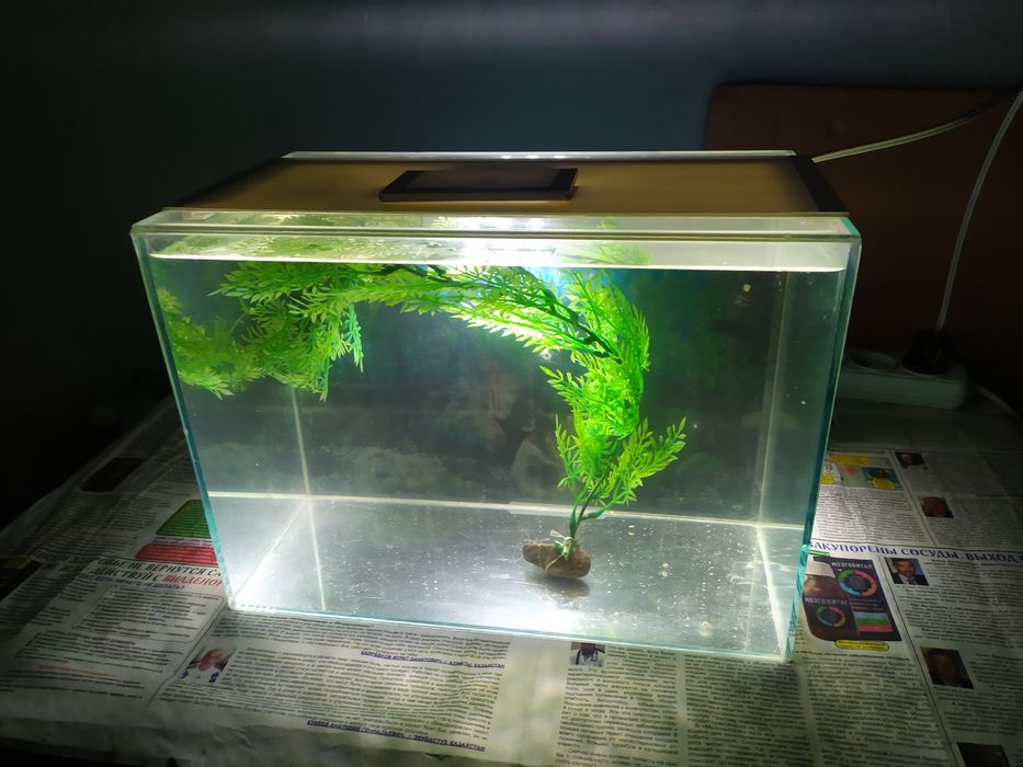 Аквариум 17л + бонусы и рыбки.